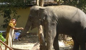 Avril 2026 – Pourquoi me frappes-tu ?